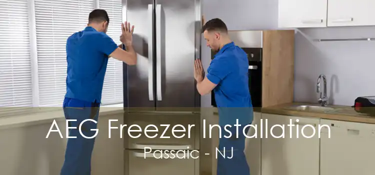 AEG Freezer Installation Passaic - NJ