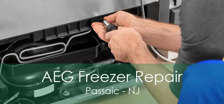 AEG Freezer Repair Passaic - NJ