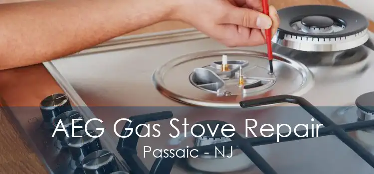 AEG Gas Stove Repair Passaic - NJ