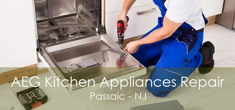 AEG Kitchen Appliances Repair Passaic - NJ