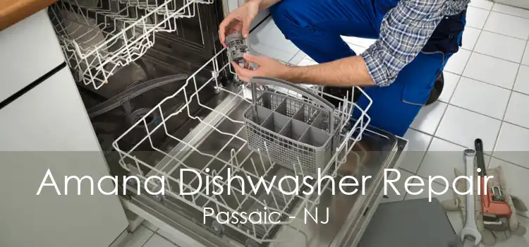 Amana Dishwasher Repair Passaic - NJ