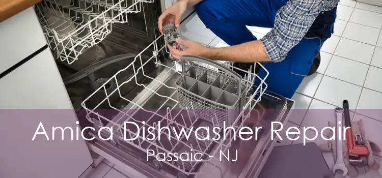 Amica Dishwasher Repair Passaic - NJ