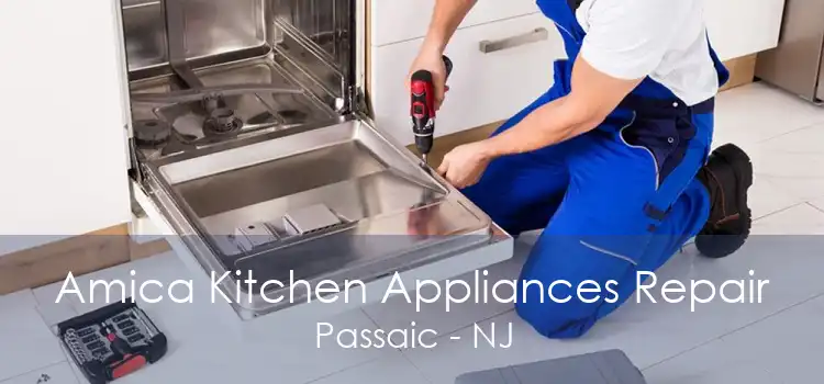Amica Kitchen Appliances Repair Passaic - NJ