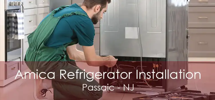 Amica Refrigerator Installation Passaic - NJ