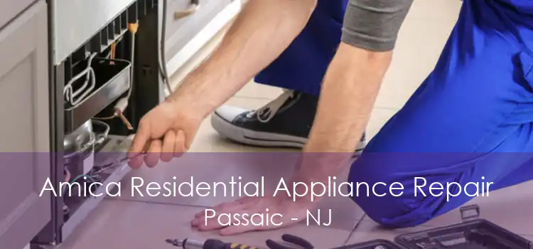 Amica Residential Appliance Repair Passaic - NJ