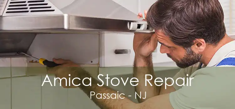 Amica Stove Repair Passaic - NJ