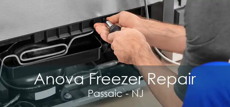 Anova Freezer Repair Passaic - NJ
