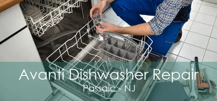 Avanti Dishwasher Repair Passaic - NJ