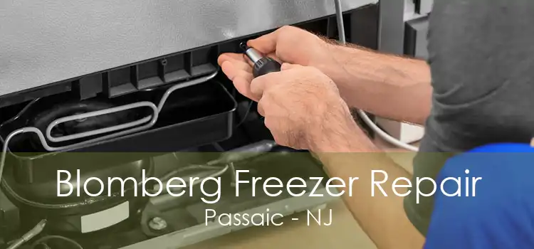 Blomberg Freezer Repair Passaic - NJ