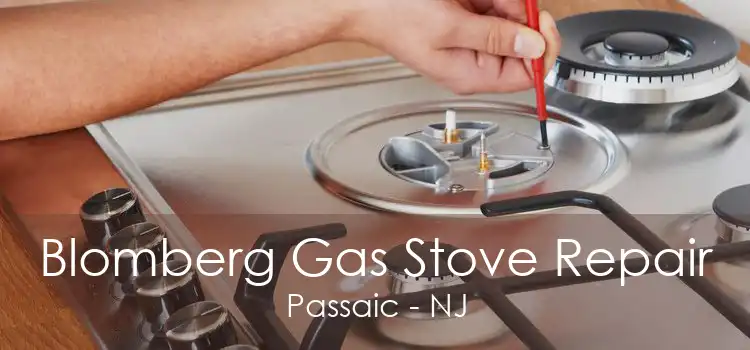 Blomberg Gas Stove Repair Passaic - NJ