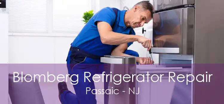 Blomberg Refrigerator Repair Passaic - NJ