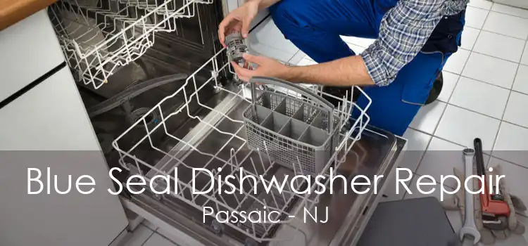 Blue Seal Dishwasher Repair Passaic - NJ