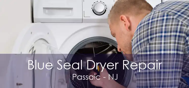 Blue Seal Dryer Repair Passaic - NJ