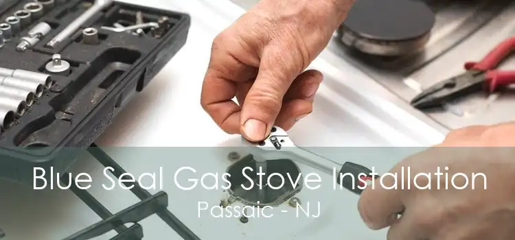 Blue Seal Gas Stove Installation Passaic - NJ