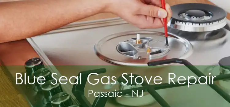 Blue Seal Gas Stove Repair Passaic - NJ
