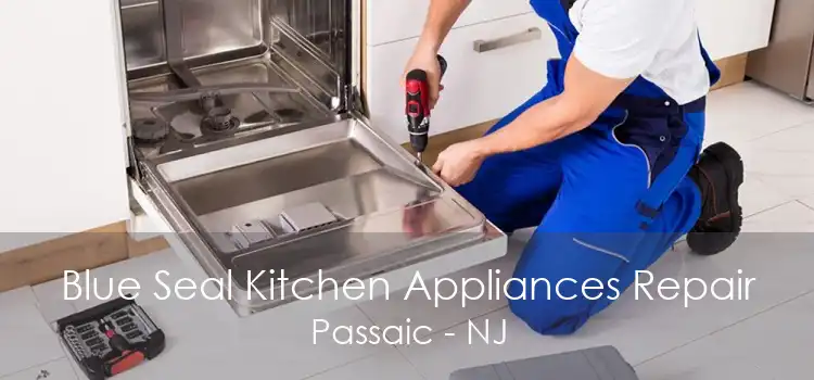 Blue Seal Kitchen Appliances Repair Passaic - NJ