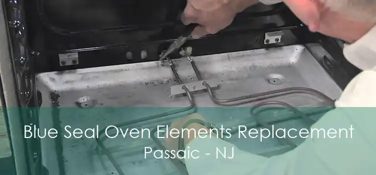 Blue Seal Oven Elements Replacement Passaic - NJ