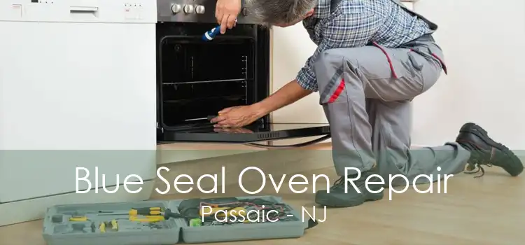 Blue Seal Oven Repair Passaic - NJ