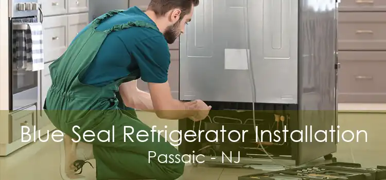 Blue Seal Refrigerator Installation Passaic - NJ