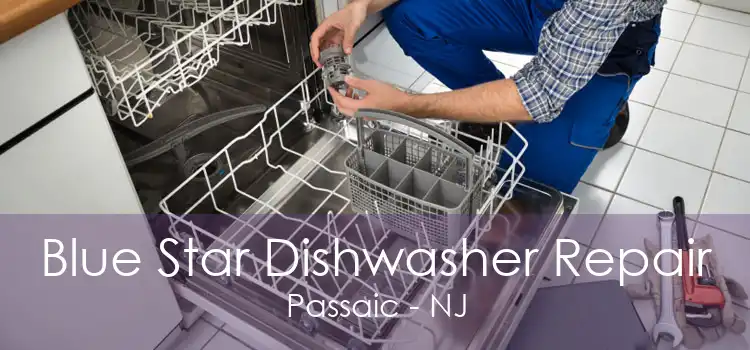 Blue Star Dishwasher Repair Passaic - NJ
