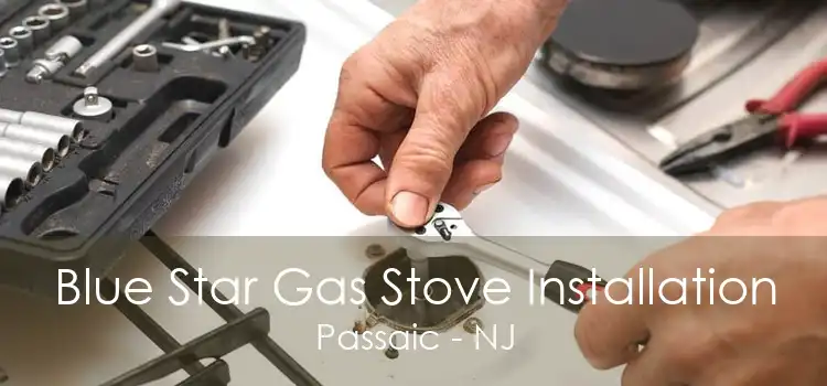 Blue Star Gas Stove Installation Passaic - NJ