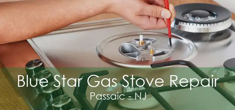 Blue Star Gas Stove Repair Passaic - NJ