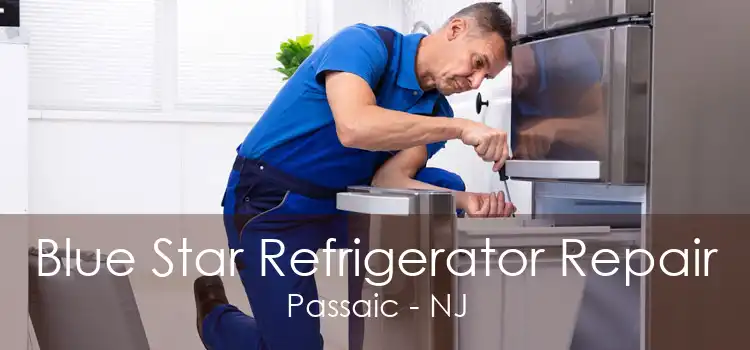 Blue Star Refrigerator Repair Passaic - NJ