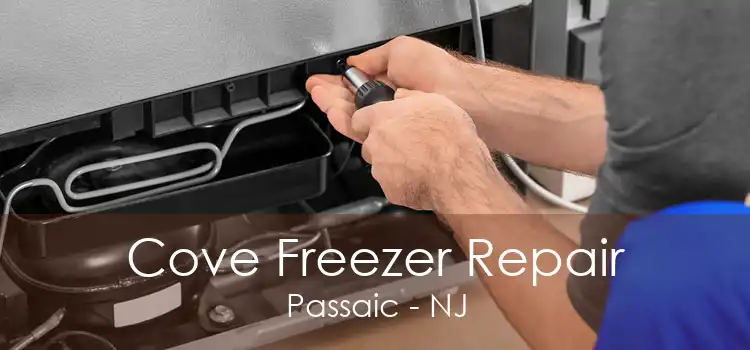 Cove Freezer Repair Passaic - NJ