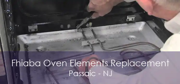 Fhiaba Oven Elements Replacement Passaic - NJ