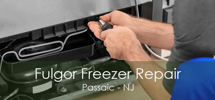 Fulgor Freezer Repair Passaic - NJ