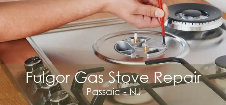 Fulgor Gas Stove Repair Passaic - NJ