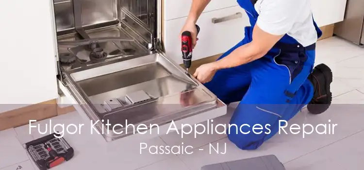 Fulgor Kitchen Appliances Repair Passaic - NJ