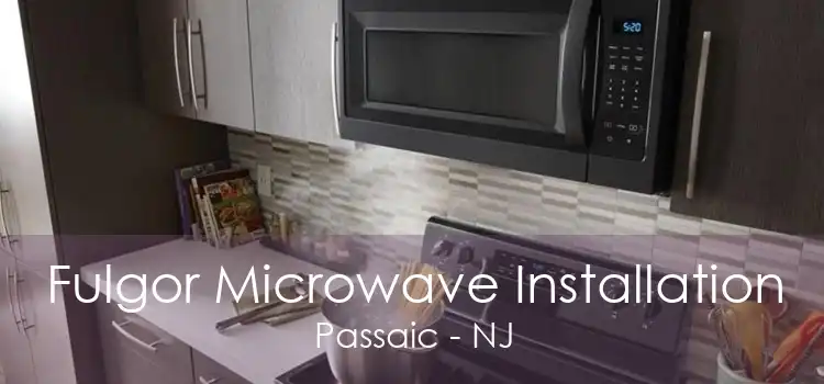 Fulgor Microwave Installation Passaic - NJ