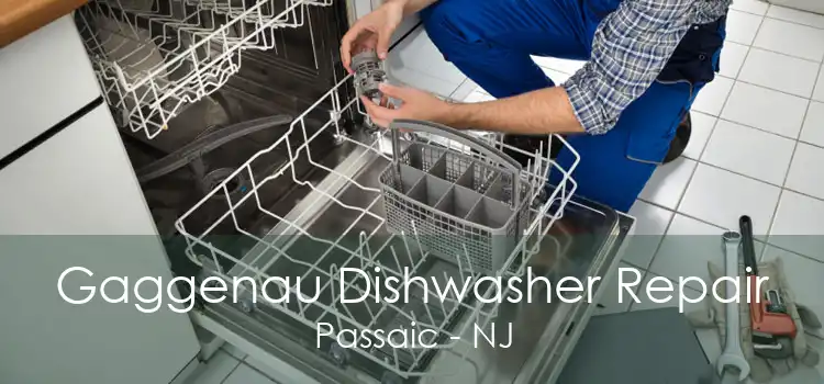 Gaggenau Dishwasher Repair Passaic - NJ