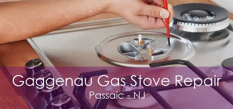 Gaggenau Gas Stove Repair Passaic - NJ
