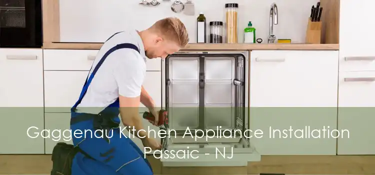 Gaggenau Kitchen Appliance Installation Passaic - NJ