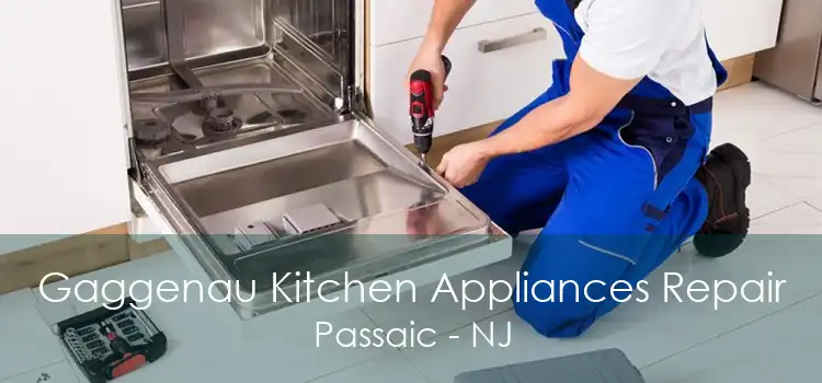 Gaggenau Kitchen Appliances Repair Passaic - NJ