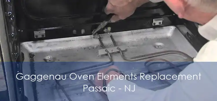 Gaggenau Oven Elements Replacement Passaic - NJ
