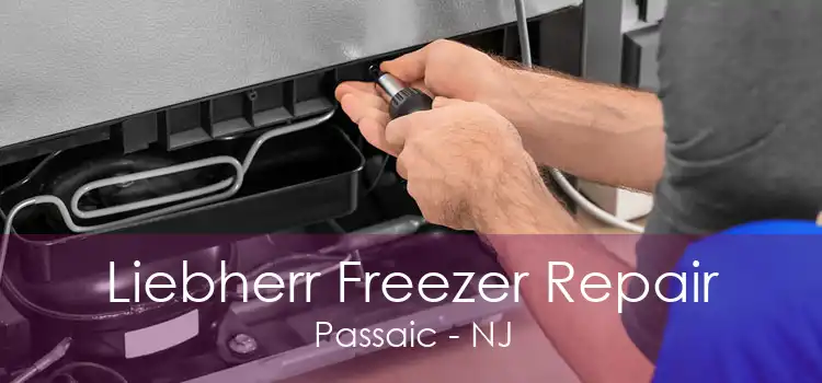 Liebherr Freezer Repair Passaic - NJ