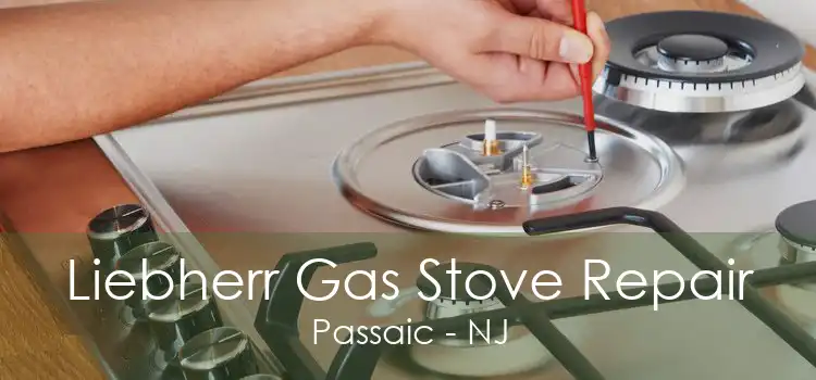 Liebherr Gas Stove Repair Passaic - NJ
