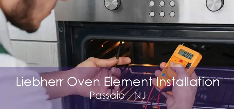 Liebherr Oven Element Installation Passaic - NJ