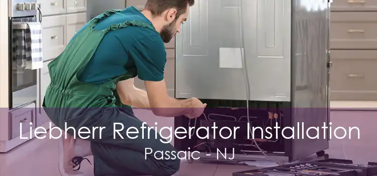 Liebherr Refrigerator Installation Passaic - NJ