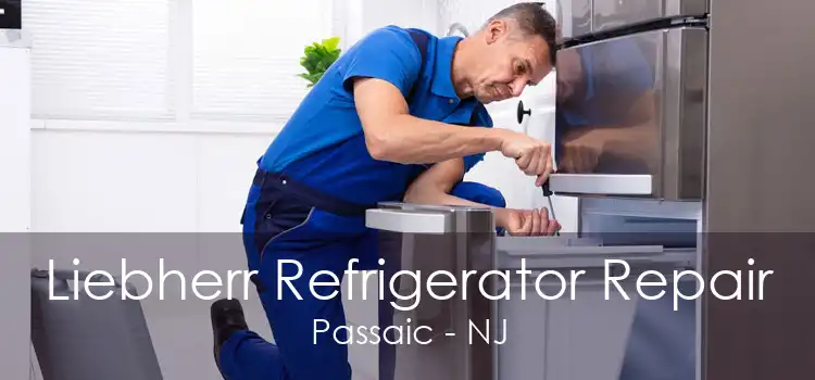 Liebherr Refrigerator Repair Passaic - NJ