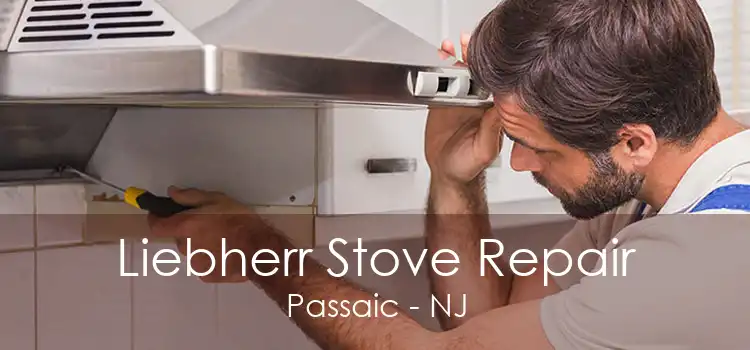 Liebherr Stove Repair Passaic - NJ