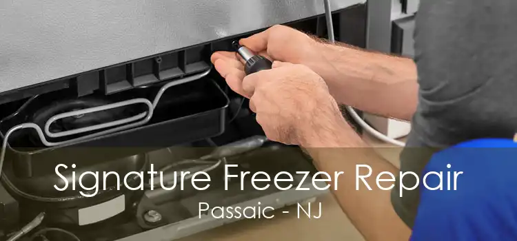 Signature Freezer Repair Passaic - NJ