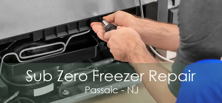 Sub Zero Freezer Repair Passaic - NJ
