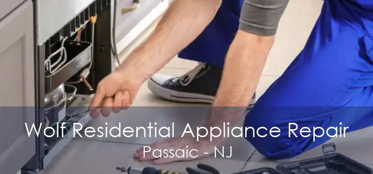 Wolf Residential Appliance Repair Passaic - NJ