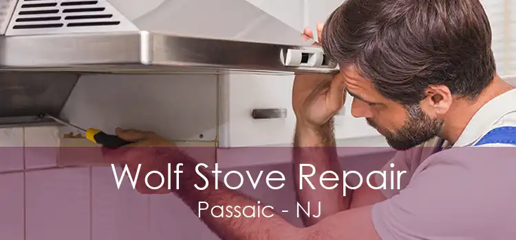 Wolf Stove Repair Passaic - NJ